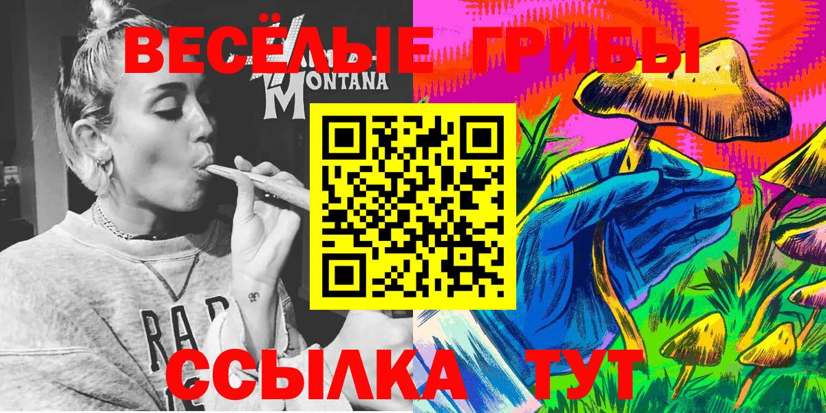 Галлюциногенные грибы Cubensis  Галлюциногенные грибы Psilocybe  Новодвинск  Вход с VPN 