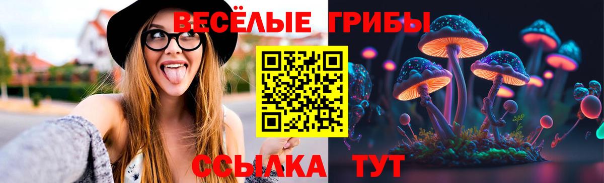 Псилоцибиновые грибы MAGIC MUSHROOMS Новодвинск